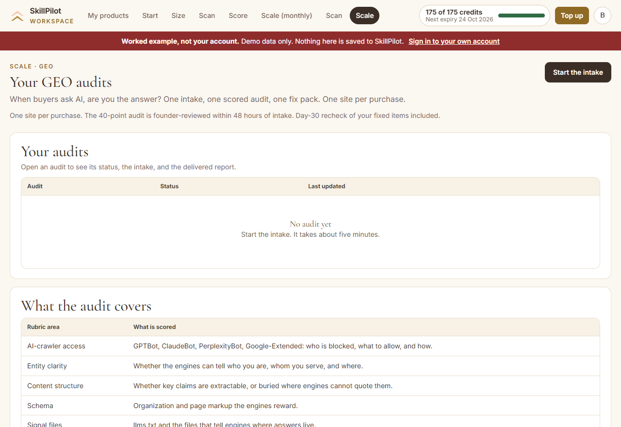 Preview of the Scale GEO audits workspace
